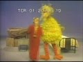 Sesame Street Big Bird And David Try Each Other S Beds