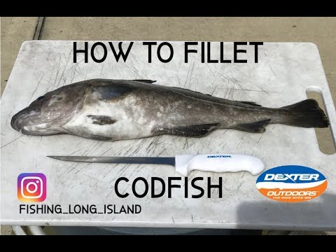image-Do cod fish have scales?