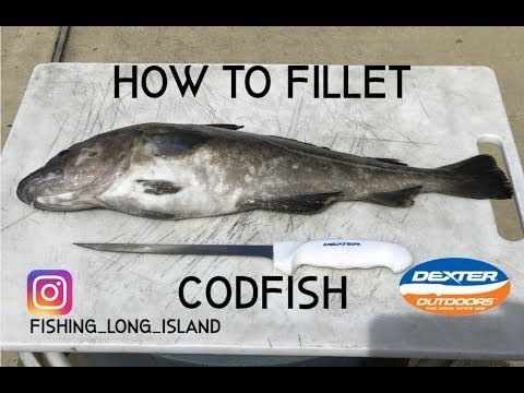 YouTube video about: Does cod fish have scales?