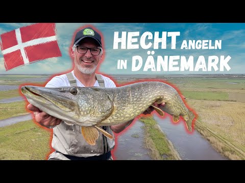 Pike fishing in Denmark | Areas, tackle, bait and regulations for pike fishing in Denmark