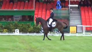 Badminton 2014 Dressage Wild Oats