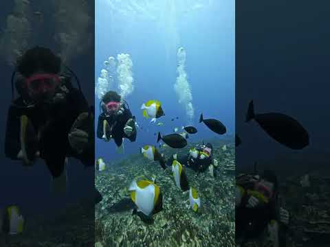 Una salida grupal con volcanes en actividad, selvas frondosas y playas de ensueño.