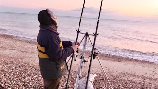 A Crazy Beach Fishing Session! (I need more Worms!)