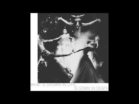 03. King Yosef - hollow (ft. Phantom Caine) (Produced By The Wild Dutchman)