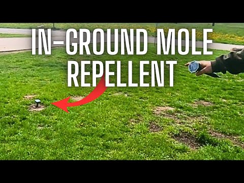 Mole Repellent Solar Powered 8 Pack | Ultrasonic Mole Repeller