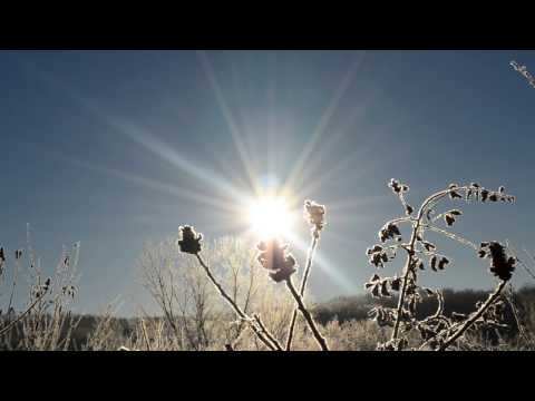 download lagu mp3 mp4 Praise Awaits You In Zion, download lagu Praise Awaits You In Zion gratis, unduh video klip Praise Awaits You In Zion