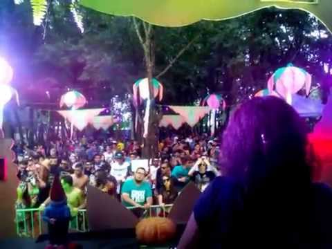 DJ ROSA VENTURA - FOREST 3 ☮ A Floresta Encantada