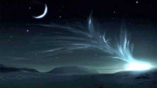 Night is Still - Strays Don&#39;t Sleep