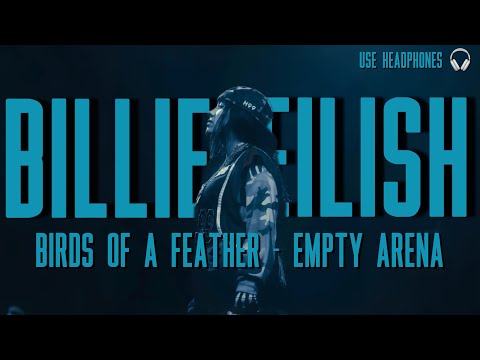 &ldquo;BIRDS OF A FEATHER&rdquo; by Billie Eilish but you&rsquo;re in an empty arena