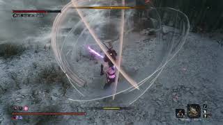 Ayame SE vs Wolf way of Shura -Fight your own Shadow- Ashina Incarnation UPDATE v4-65 Sekiro MOD