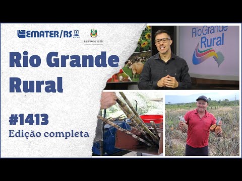 Rio Grande Rural 1413 - 01/02/2026