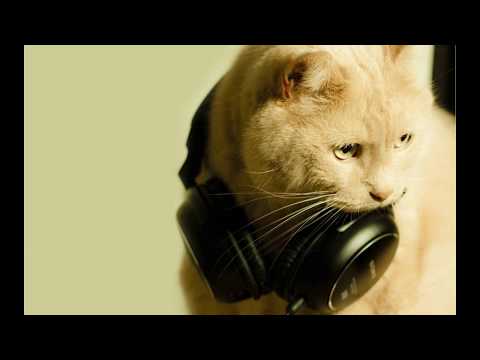 Yuri Kane & Ana Criado   Running Wild Sub Esp