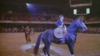 El Ausente  - Pepe Aguilar   (6 años)