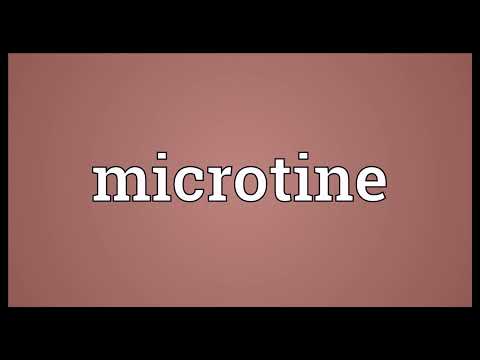 Microtine Meaning