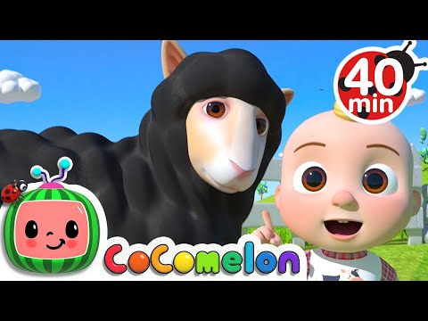 Baa Baa Black Sheep Song + More Nursery Rhymes & Kids Songs – CoComelon