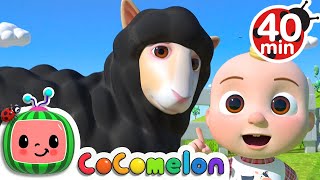 Baa Baa Black Sheep Song + More Nursery Rhymes &amp; Kids Songs - CoComelon
