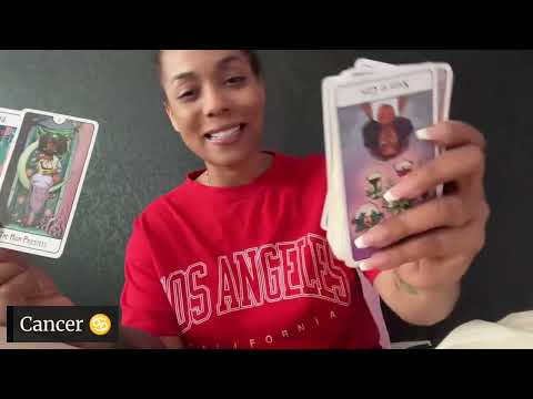 All Signs: What They Don't Want You To Know 🤫