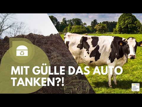 Einmal vollmachen bitte - Gülle als grüner Treibstoff