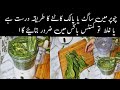 Chopper Main Saag Or Palak Katny Ka Asaan Triqa How To Cut Palak Or Saag In Chopper Nazak Log