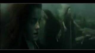 A Little Long Time - Hermione/Ron