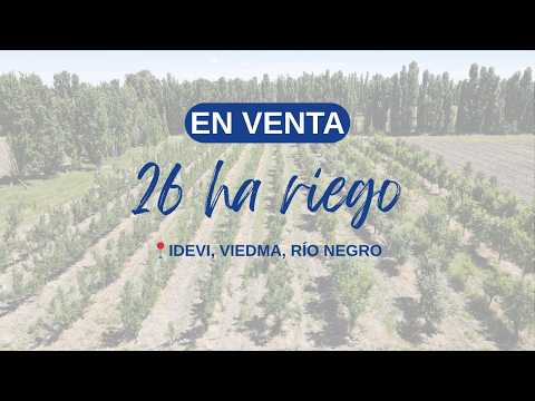 26 ha con riego en venta en IDEVI, Viedma, Rio Negro