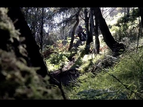 Peaty's Protect & Shine Silicone Spray 400ml