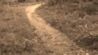 Candlemass - Mourner's Lament