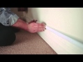 DLNCC1 Video 1
