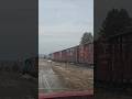 PACING A FREIGHT TRAIN AS THEY BLOW THEIR HORNS! #trains #trainhorn #trainvideo #railroad