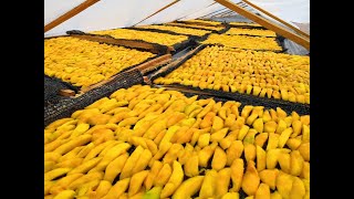Agri-food Systems and Rural Development (ASRD) - Master's study progra