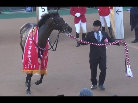 2016.12.25ホープフルステークス現地映像　優勝レイデオロ