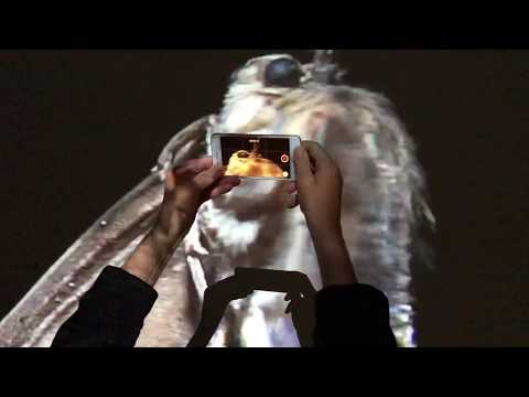 Nocturne - Patrick Steffen