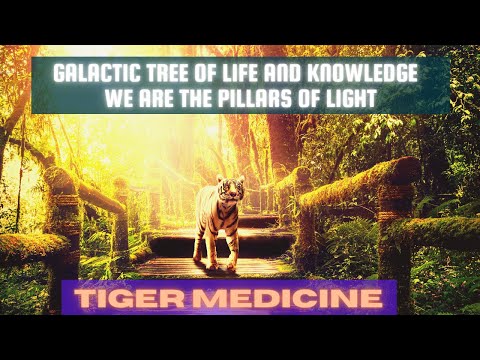 Galactic Tree of Life and Knowledge ~ We are the Pillars of Light ~ ZERO POINT FIELD OF LIGHT