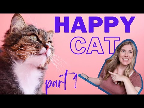 How To Raise A Happy Healthy Cat | Happy Cat Month 2021 | Part 1