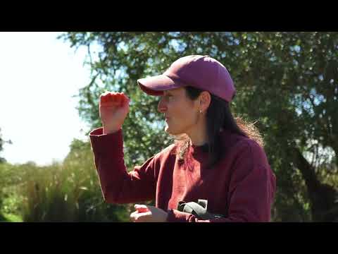 MONTE PRESADO · CASUPÁ LAVALLEJA/FLORIDA URUGUAY | Avance Documental