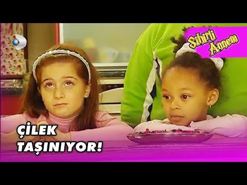 Çilek'ler TAŞINIYOR! - Sihirli Annem 114. Bölüm
