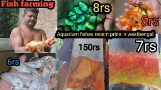5 rupiya mai gold fish? 😳 / Aquarium fishes delivery possible others State