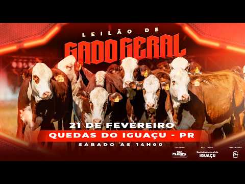 Leilão de Gado Geral, QUEDAS DO IGUAÇU/PR - 21/02/2026 14:00h