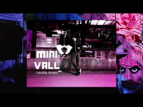 HALTZ x DOBRI - MiniVall [prod. by Minyonni]