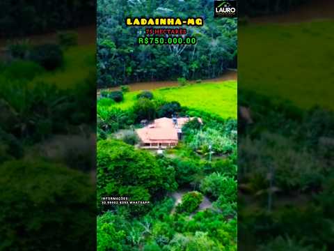 ✨️🤠FAZENDA 15 ALQUEIRES REGIÃO POTE-MG VÍDEO ATUALIZADO COM DRONE🤠✨️