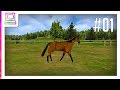 My Horse And Me part 1 nintendo Ds horse Game