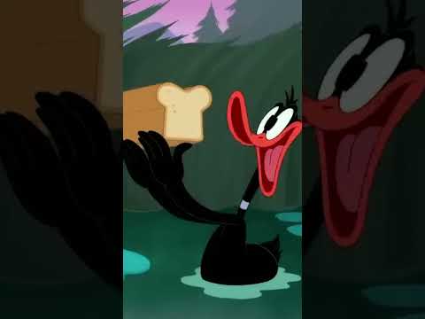 Daffy Can't Resist a Loaf of Bread | Looney Tunes | @BoomerangUK  | #shorts