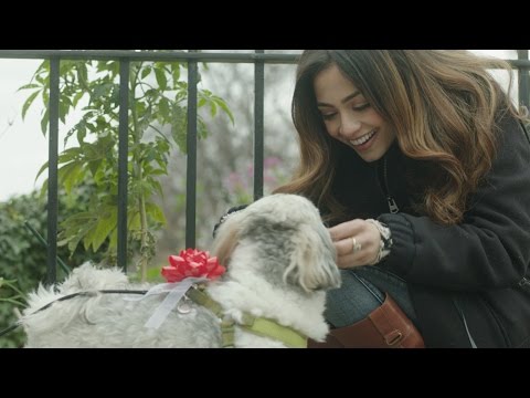 Matt Beilis - Famous (Official Video)