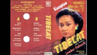 Download lagu Nining Meida Tibelat mp3