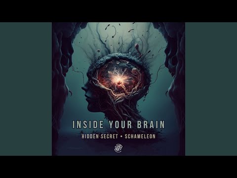Inside Your Brain