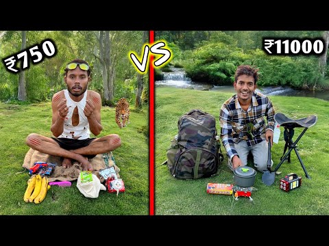 Jungle Survival Challenge || Low Budget Jungle Survival Challenge ₹750 VS ₹11000 🏕