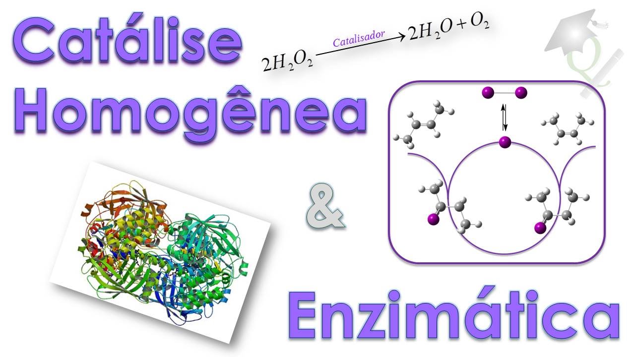 Episódio 14 - Agilizando #2 (Catálise Homogênea e Enzimática)