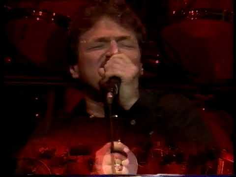 Videoclip de You Are the Flower (Live Acoustic Version) — Toto