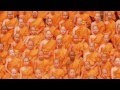 Cell - Orange 