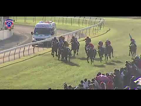 The courts mamouth maiden cup 2019: last 300m